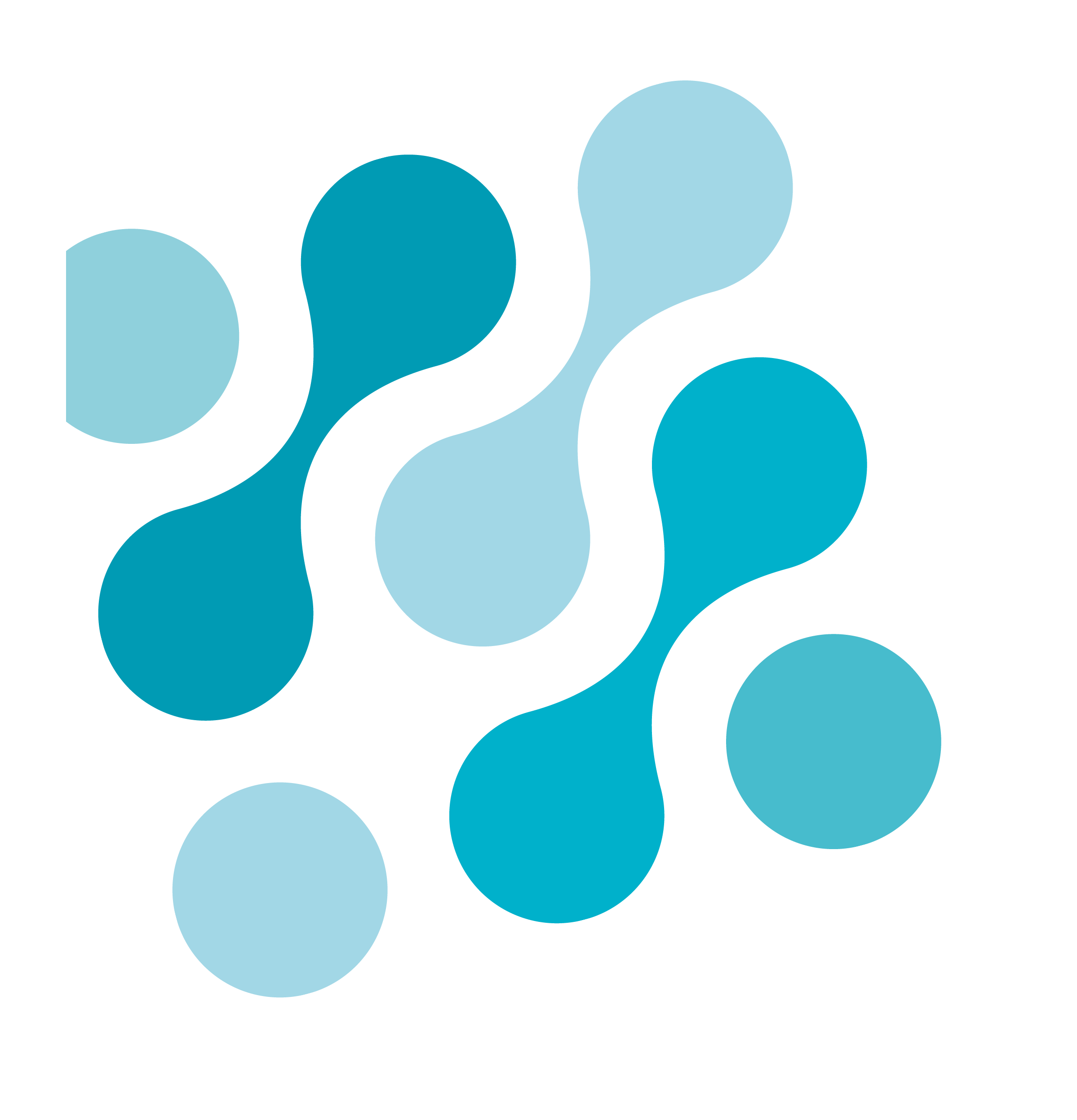 IPLS logo